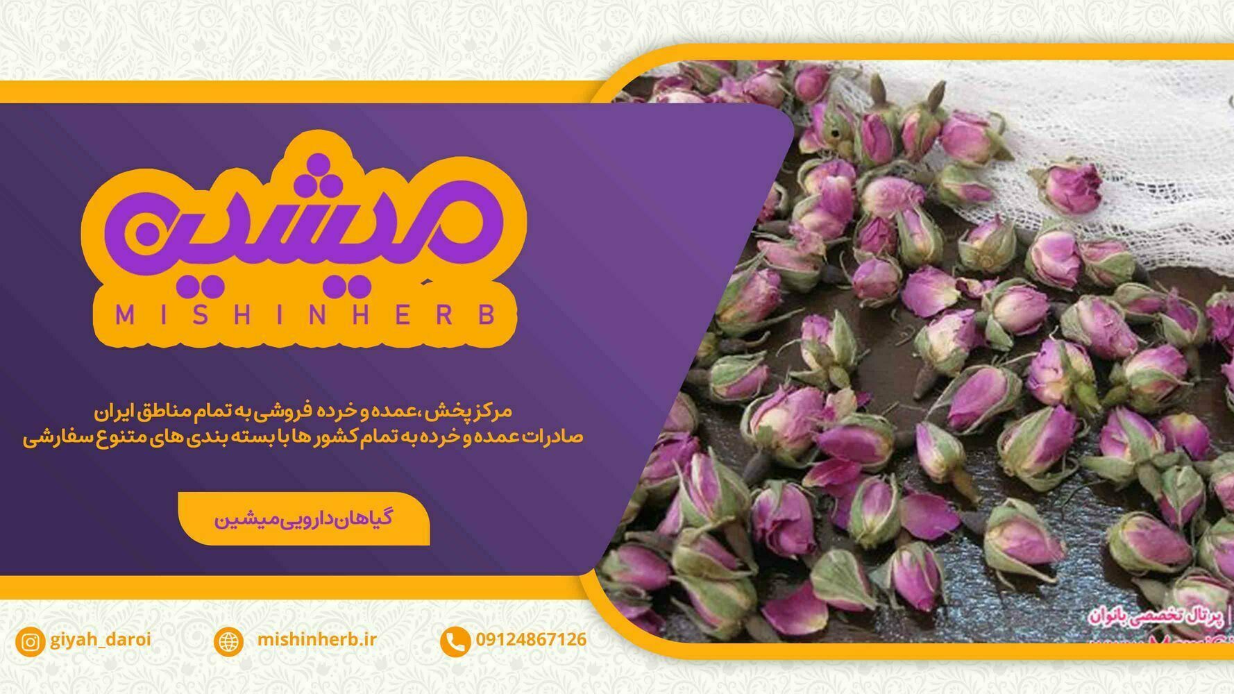 فروشنده عمده گل محمدی