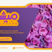 صادرات عرق گل گاوزبان